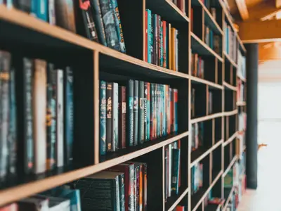 Books line shelves