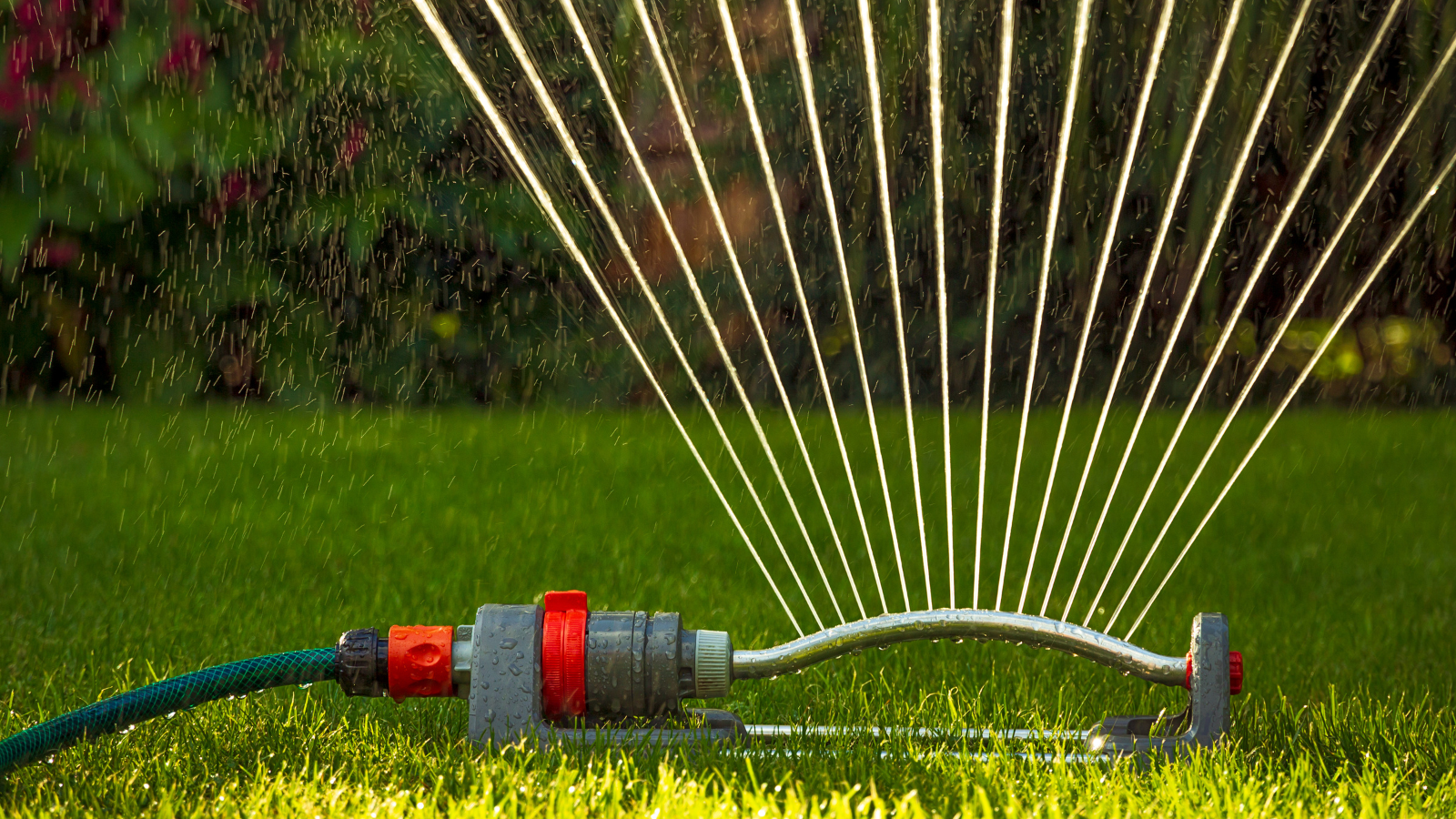 Lawn-Watering-Bylaw.png