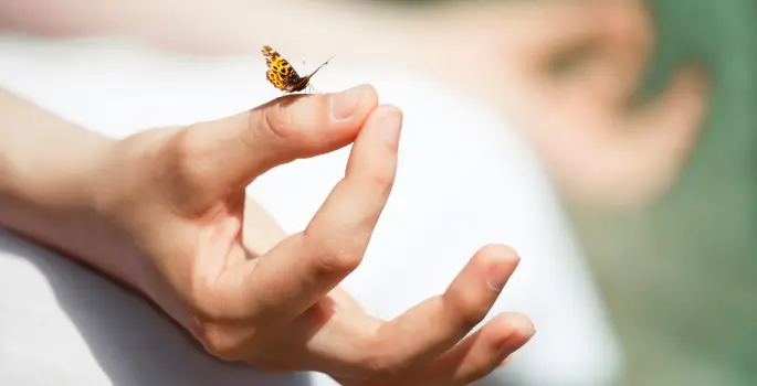 Butterfly lands on hand in meditative posture
