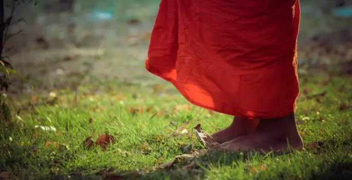 Barefoot human with orange robe walks through grass